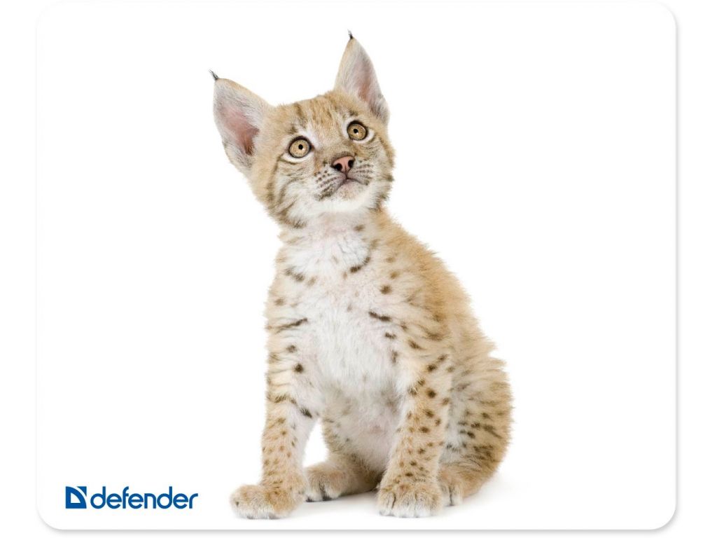 Коврик для мыши Defender Silk (50706)