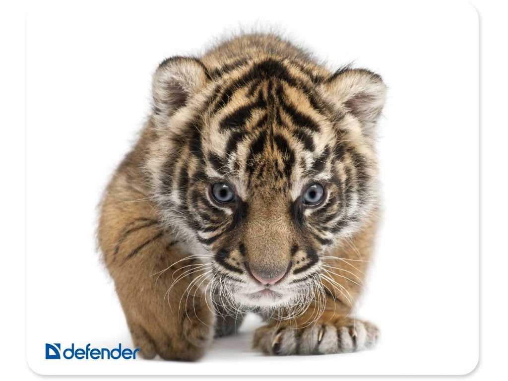 Коврик для мыши Defender Silk (50706)