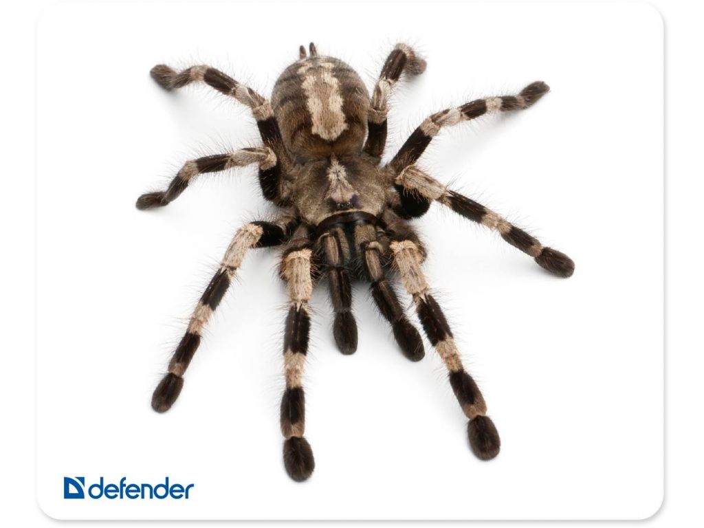 Коврик для мыши Defender Silk (50706)