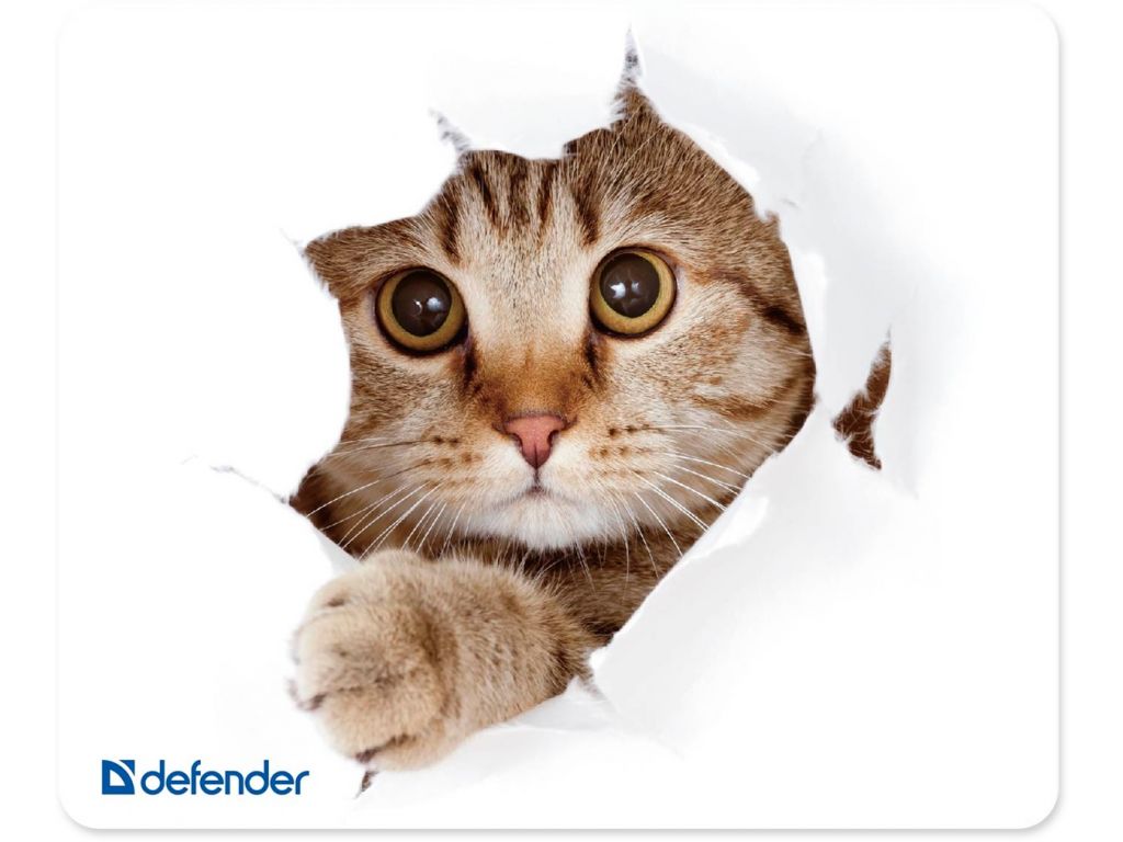 Коврик для мыши Defender Silk (50706)