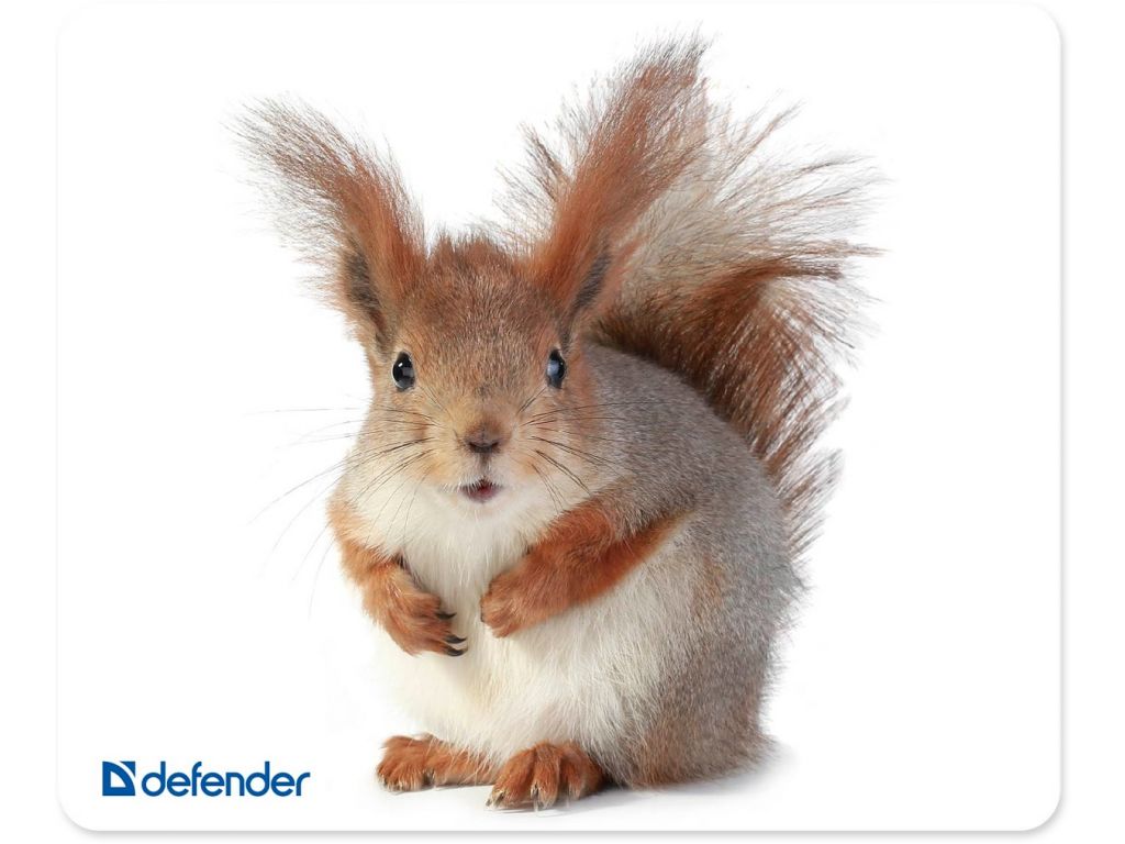 Коврик для мыши Defender Silk (50706)