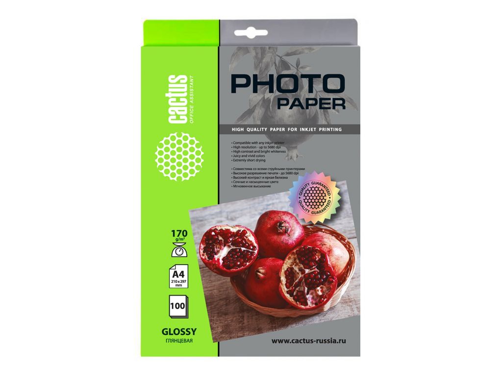 Фотобумага Cactus CS-GA4170100 A4/170г/м2/100л./белый глянцевое для струйной печати