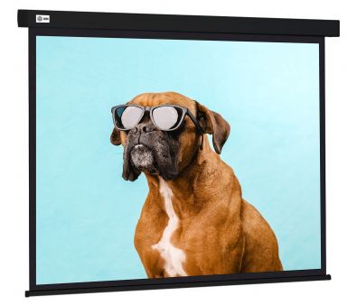   CACTUS Wallscreen 183x244 CS-PSW-183X244-BK