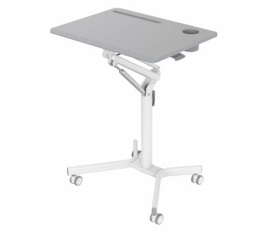    CACTUS CS-FDS101WGY