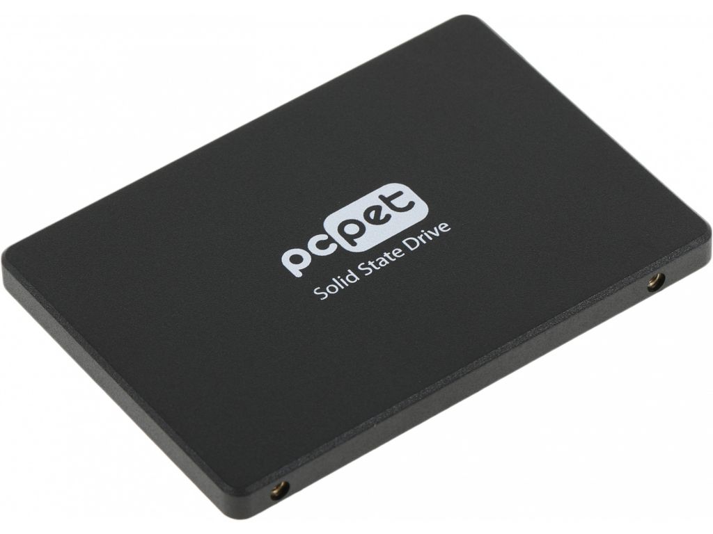 SSD PC Pet 256Gb PCPS256G2
