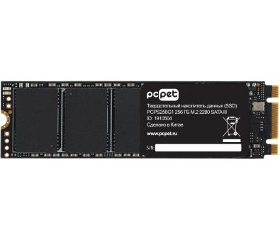 SSD PC Pet 256Gb PCPS256G1