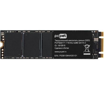 SSD PC Pet 1Tb PCPS001T1