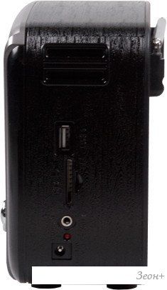 Радиоприемник Ritmix RPR-065