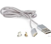  Cablexpert CC-USB2-AMLM3-1M