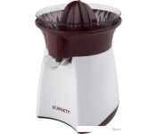  Scarlett SC-JE50C07