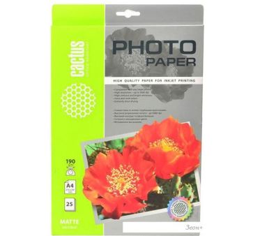  CACTUS  A4 190 /.. 25 