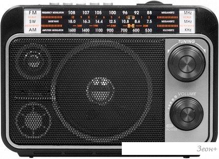 Радиоприемник Ritmix RPR-171