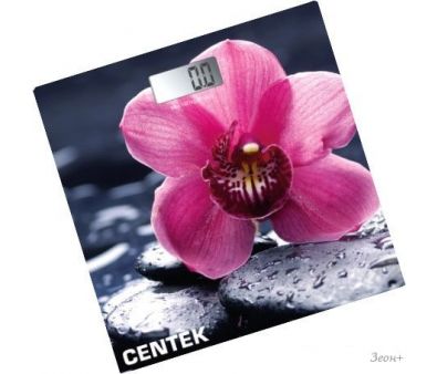   CENTEK CT-2421 ()