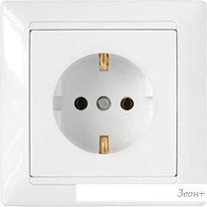  Bylectrica  16-306 ()