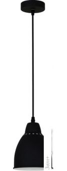  Arte Lamp Braccio A2054SP-1BK