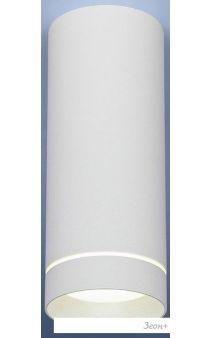   Elektrostandard DLR022 12W 4200K ( )