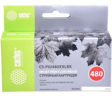  CACTUS CS-PGI480XXLBK ( Canon PGI-480XXL PGBK)