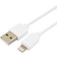   GCC-USB2-AP2-1M-W 0.5m