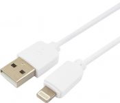   GCC-USB2-AP2-1M-W 0.5m