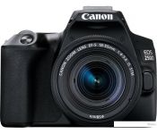   Canon EOS 250D Kit 18-55 IS STM ()