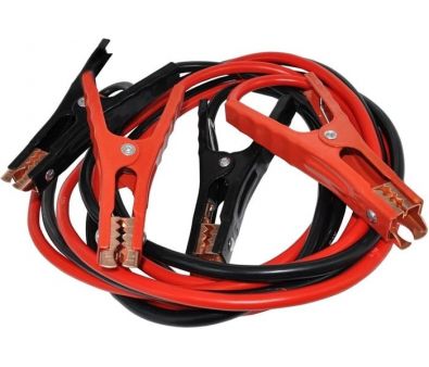   AVS Expert BC-500