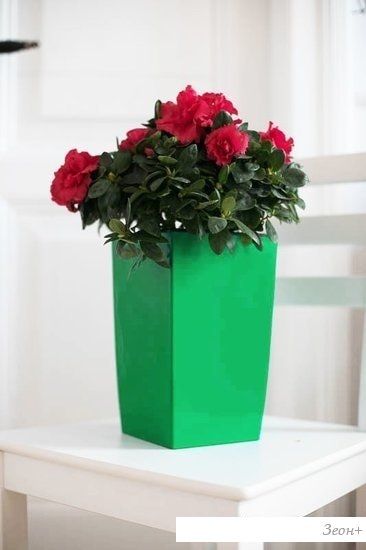 GardenPlast Жасмин 1.5 л (шоколад)