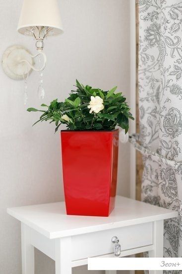 GardenPlast Жасмин 1.5 л (шоколад)