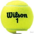 Мяч Wilson Championship Extra Duty WRT100101 (3 шт)