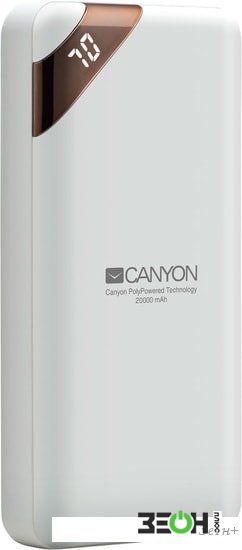 Портативное зарядное устройство Canyon CNE-CPBP20W