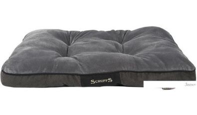 Scruffs Chester  100  ()