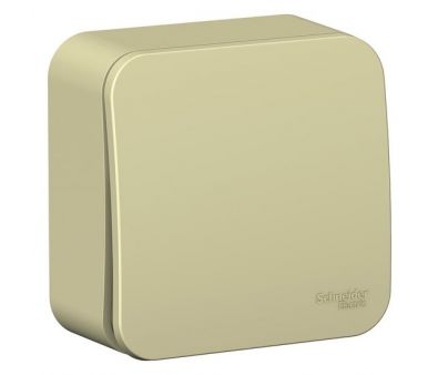  Schneider Electric Blanca BLNVA101017