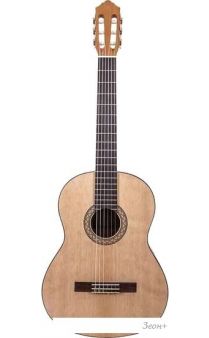   Yamaha C40 ( )