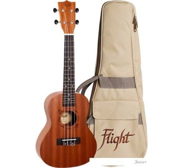  Flight NUC310
