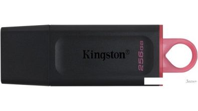USB Flash Kingston Exodia 256GB [DTX/256GB]