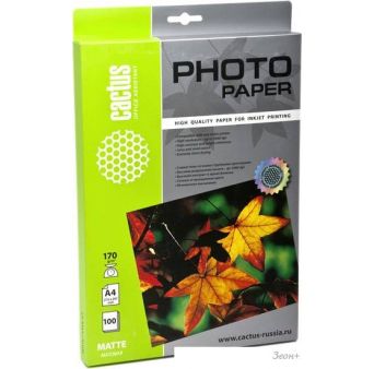  CACTUS  A4 170 /.. 100  (CS-MA4170100)