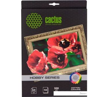  CACTUS   A4 300 /.. 10  (CS-A426010)