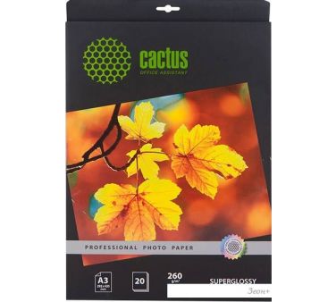  CACTUS  A3 260 /.. 20  (CS-HGA326020)