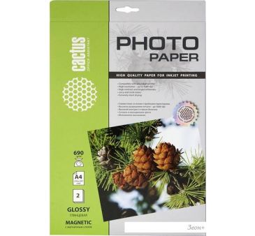  CACTUS   A4 690 /.. 2  (CS-MGA46902)