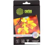  CACTUS  A6 260 /.. 20  (CS-HGA626020)