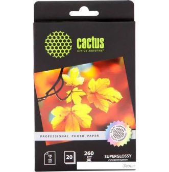  CACTUS  A6 260 /.. 20  (CS-HGA626020)