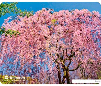    Defender Silk Pad Nature (50707)