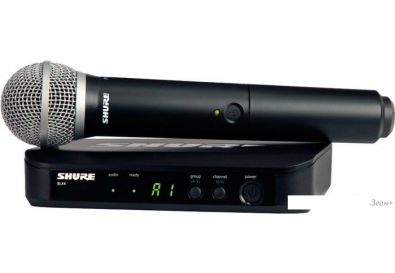  Shure BLX24/PG58