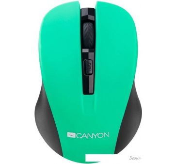  Canyon CNE-CMSW1GR