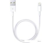  Apple Lightning to USB 0.5  () [ME291ZM/A]