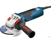   Bosch GWS 19-125 CIST Professional [060179S002]