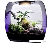  Lucky Reptile Life Box LB-30P ()