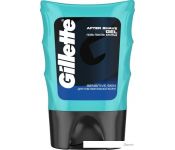   Gillette Sensitive Skin    (75 )