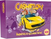    Cashflow / 4810764000064
