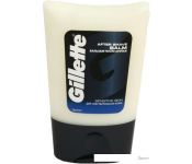    Gillette Sensitive Skin (75 )