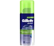    Gillette Series     (200 )